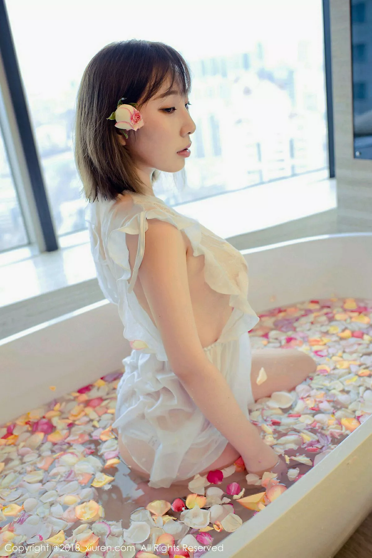 枝恩写真