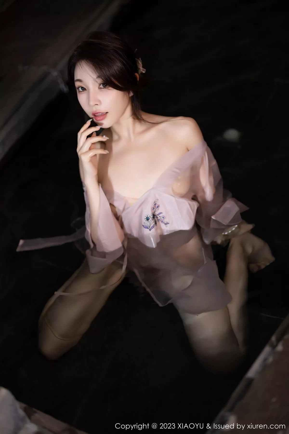徐莉芝写真