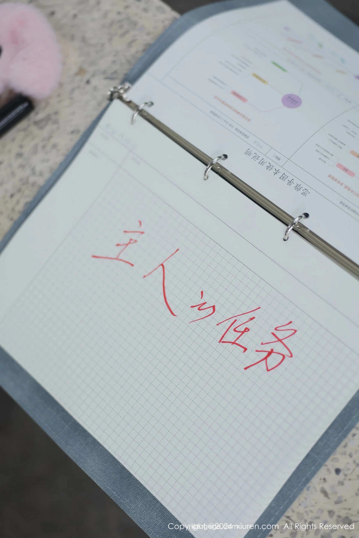 小薯条写真
