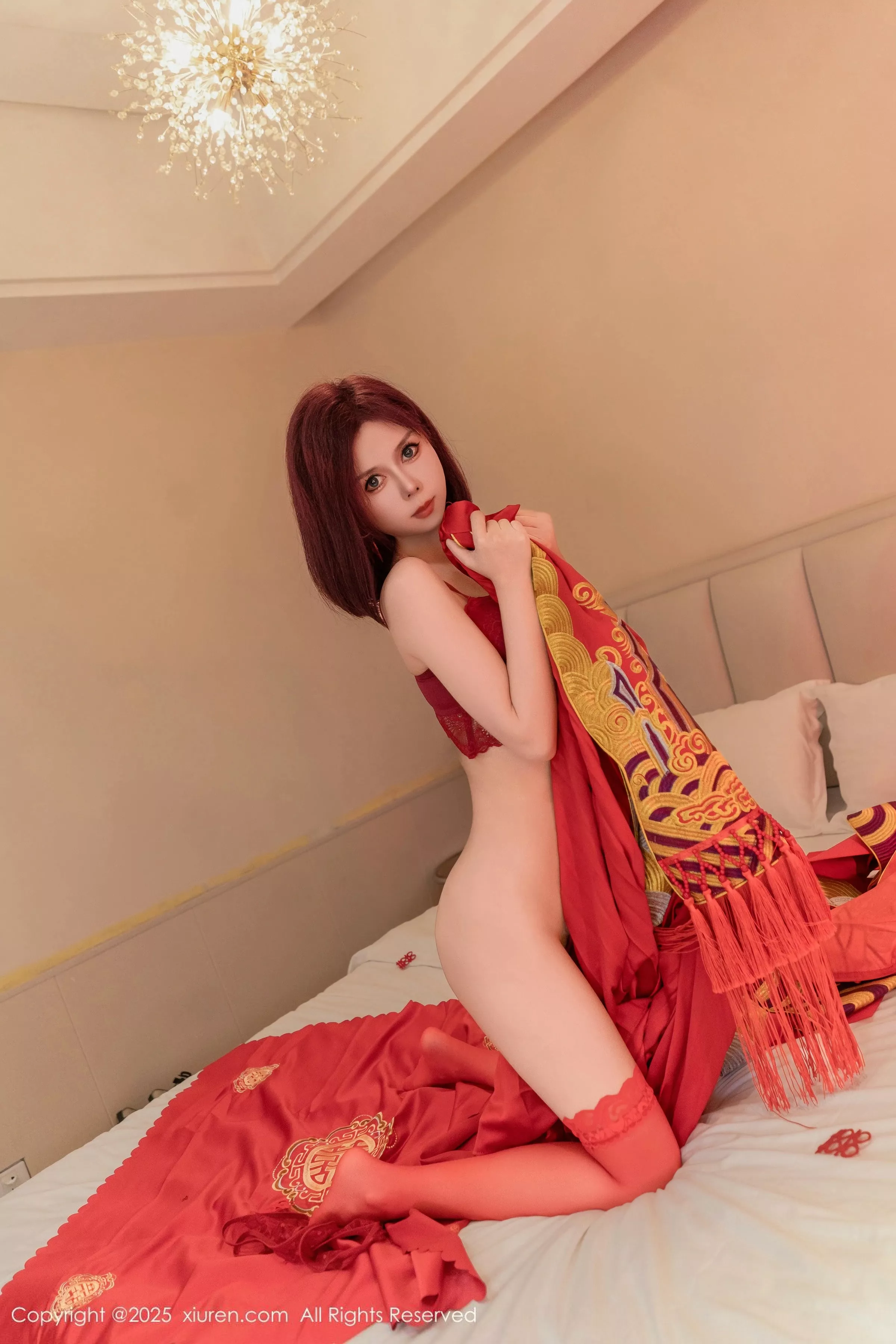 白芷写真